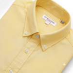U.S. Polo Assn. (Lite Yellow) - Image 3